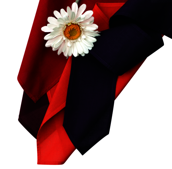 Fashion Color 30g, červená rubínová