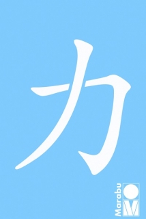 Šablóna Lí-Power 10x15 cm