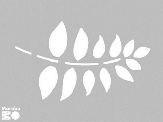 Šablóna  3D Classic Leaf 15x20 cm