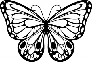 Šablóna Silhouette Romantic Butterfly 15x15 cm