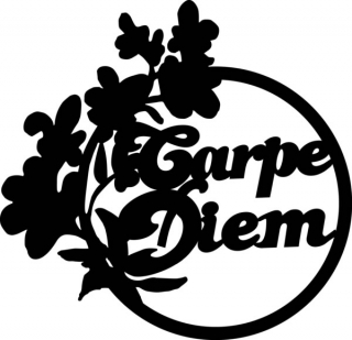 Šablóna Silhouette Carpe Diem 15x15 cm